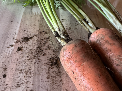 【バラの香りのにんじん】冬採れ"アロマレッド"「3.0kg」【サイズいろいろ】