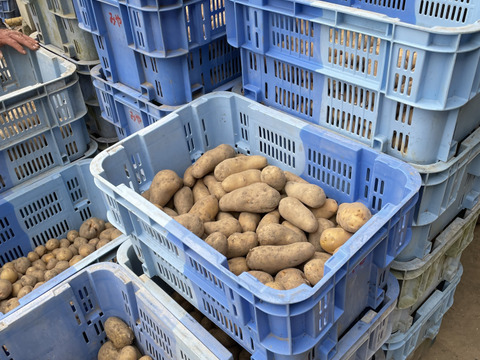 もっちり甘みがうまい！農薬化学肥料不使用メークイン10Kg