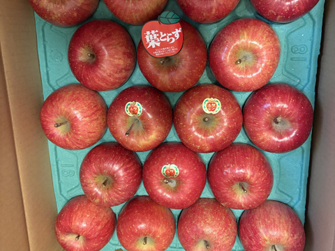 発送開始！完熟葉とらずサンふじ🍎約10㎏