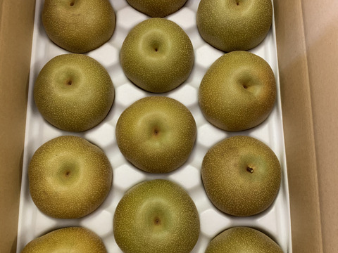 【期間限定】【豊水】我夢舎羅村　5キロ