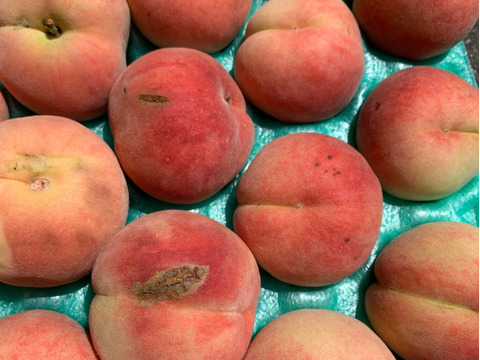 あかつき　桃　家庭用訳あり約5キロ22-28玉入　食べきりサイズがちょうどいい！