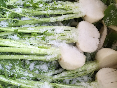 カブラの塩漬け　1kg