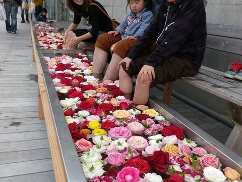 母の日特別なプレゼント！　ローズバス　薔薇風呂