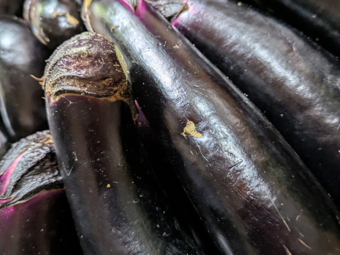 朝取り！訳あり！ナス(黒陽)　2キロ(5〜8本)