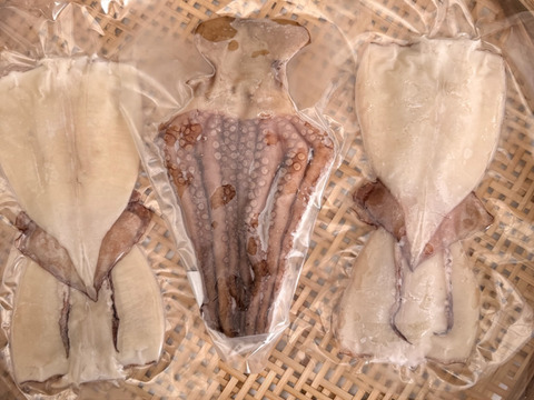 贅沢なマダコ干物‼️