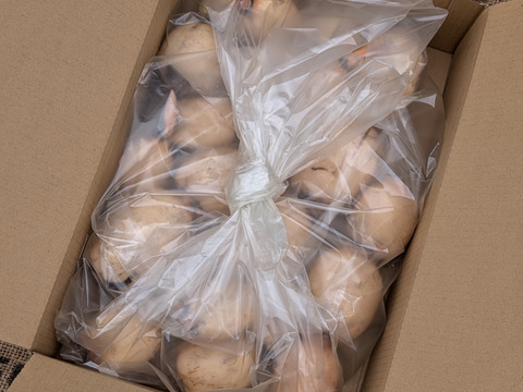 【常温便】「おてごろBOX」産直レンコンを気軽にお取り寄せ！！訳アリお得な