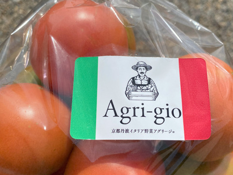 【甘みと酸味のバランスが抜群！】味の濃い京都産トマト　お試し1kgセット（10玉前後）