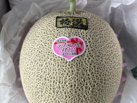 【今週限定】ラブコールメロンは1年で1週ほど！1粒のタネから1玉だけ大切に育てました！ちぎりたてでも甘さに驚くラブコールメロン1玉入り(2.3kg～3kg)