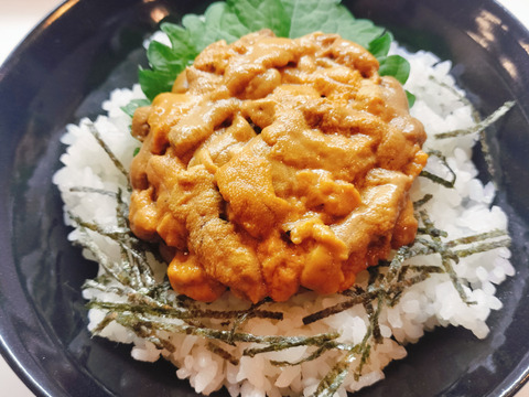 【父の日ギフト】無添加新鮮！塩水生ウニ 70g×1パック