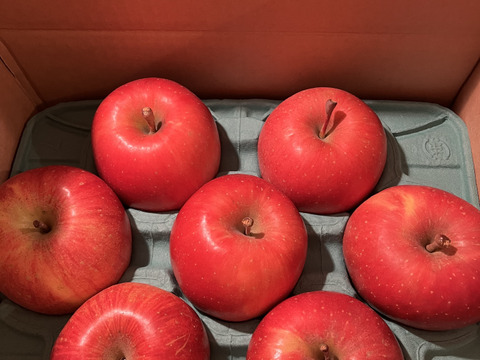 【一玉3,000円の極上りんご！】約３キロ 青森県産りんご「樹上完熟葉とらずふじ」上実・贈答用【冬ギフト】