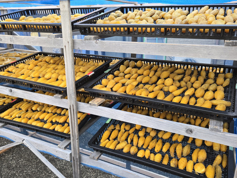 干し芋。焼き芋の干し芋(紅はるか)170g入りx4個セット。(ネコポス発送)