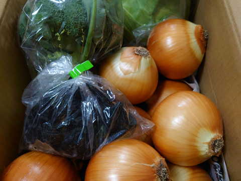 大好評，地層が違う淡路島、大玉ターザン(風袋込み４キロ)