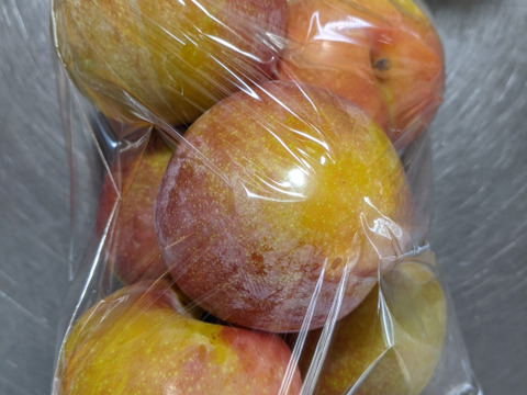 桃とスモモとブドウ