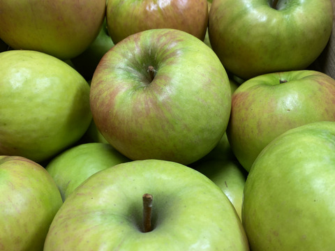 爽やかな酸味りんご　グラニースミス　アップルパイにどうぞ　13個から23個（箱含め5キロ）