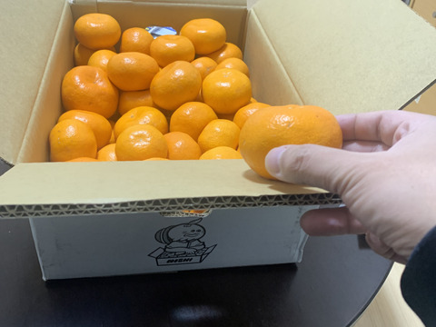 【西果樹園のひとつ上の美味しさ🍊】西果樹園の中生みかん【５キロ】