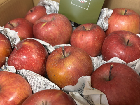 葉とらずサンふじ　家庭用B品　たっぷり10キロ箱　JA基準より60％減の低農薬栽培