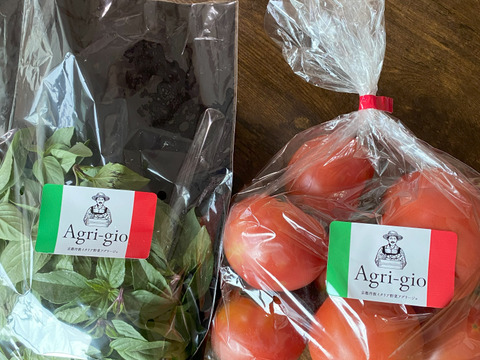 【甘みと酸味のバランスが抜群！】味の濃い京都産トマト　お試し1kgセット（10玉前後）