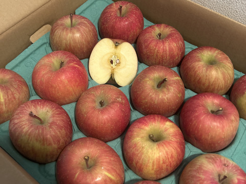 【王道サンふじ】　10㎏　26～40玉　本場青森りんご　農家直送　元気なりんご