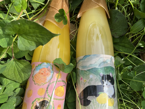 【限定品】お得な飲み比べセット！ねこ農園柑橘ジュースアソート3本セット