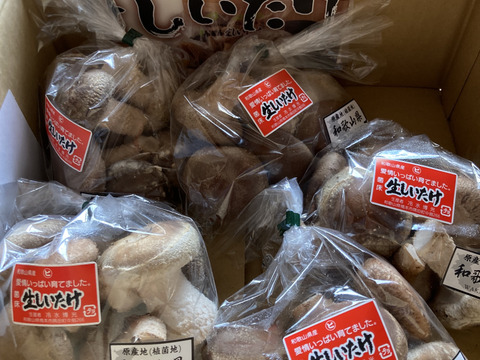 菌床生しいたけ！小さくても美味しい１㎏