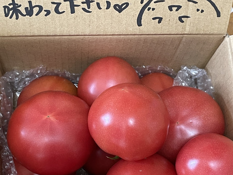 採れたて直送☆嘉麻市産☆桃太郎トマト１．５ｋｇ