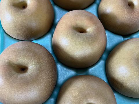 みずみずしい新品種！秋満月(5kg)