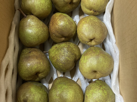 ラスト1箱2種盛！お試しラフランス3キロ＋訳あり王林3キロ　合計6キロ以上。　農薬半減栽培で安心安全