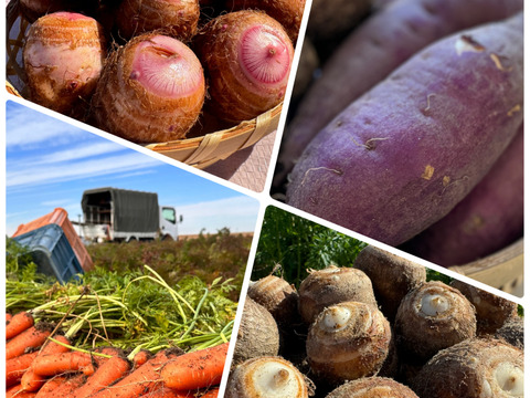 【はらぺこ冬の福袋】お節やお鍋、おでんに大活躍！紅白里芋とろりん（各1kg袋）+ホクホク金時（2kg）+キャロりん(2kg)