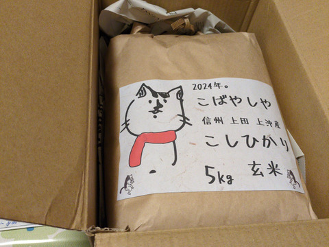予約です〜〜　もっちもちの25年度産新米!!　信州上田産コシヒカリ玄米5kg おむすび お弁当に　令和7年 農家直送