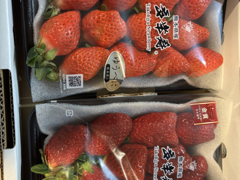 食べ比べ🥇『肥後こまち』と🥉『ゆうべに』セット！ご家庭用パック 各1P（合計2P）