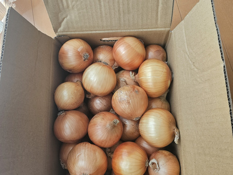 【小玉】農薬、除草剤不使用！淡路島玉ねぎ3kg