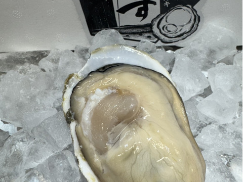 身入り抜群！有明海垂下養殖スミノエガキ　ありす　4kg（生食可）