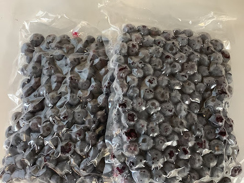 少しだけ訳ありなので特価！知多半島産【冷凍ブルーベリー1㎏】