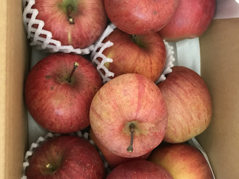 信州りんご🍎少量約1.5キロ(6～8個)