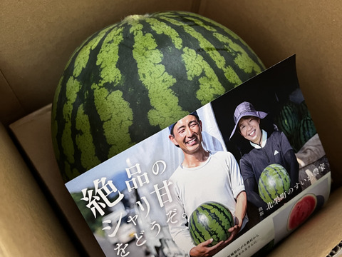 【夏ギフト】絶品のシャリあま。鳥取・北栄町の名産スイカ 8kg1玉