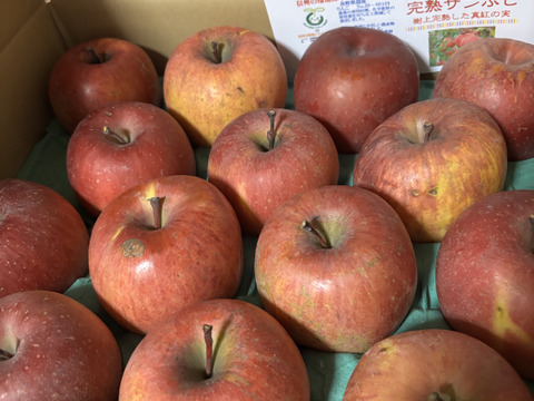 「完熟サンふじ」訳あり お値下げ！！期末総決算！　ご家庭専用　5キロコース　（14～20個入り） 甘くてジューシー　甘さと酸味バランス良好
