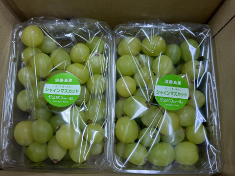 「2パック選べる！淡路島産ぶどう食べ比べセット１kg」