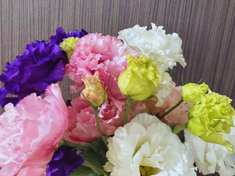 トルコキキョウ☆可愛い手のひらブーケ☆2束セット♪