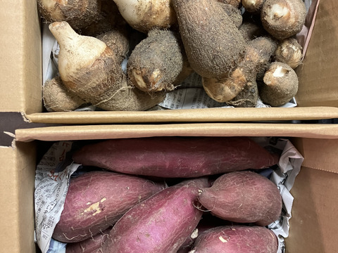 【CBCテレビ チャント！で紹介】ホックホクな【あまイモん金時】1.8kg！笑顔ホッコリ♪簡単レシピつき