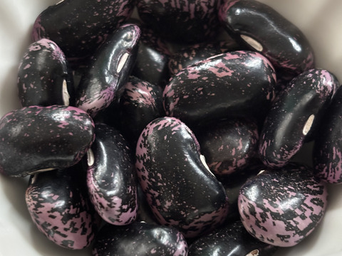 北海道産　紫花豆　500g（250g✖️2p）