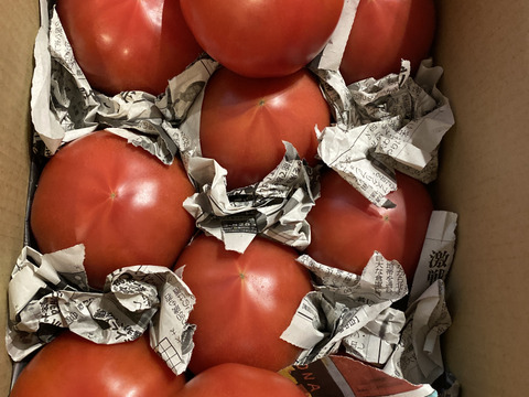 毎食トマト！バクバク食べちゃう栄ちゃんトマト　大きめ3キロ入り