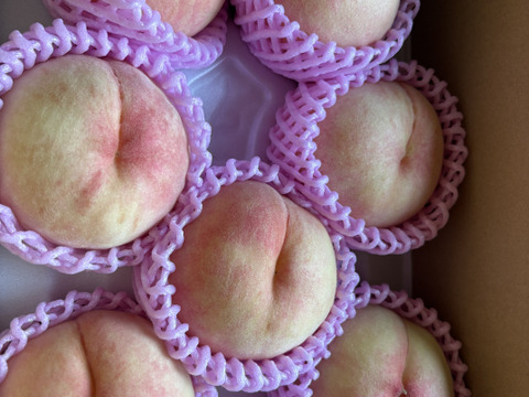 【朝どれ】（訳あり商品）糖度15度以上！　硬い桃　1.5～2.0kg（4-8玉）