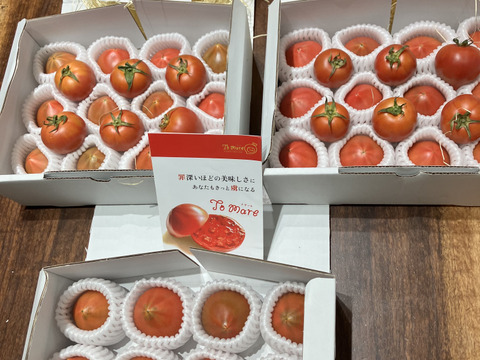 【3箱】弾ける旨味・甘み！【ト・マーレ】禁断の濃密さ 800g×３