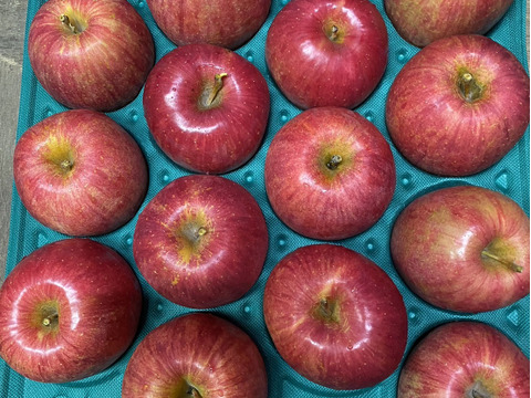 果汁たっぷり！特別栽培りんご『ハックナイン』家庭用訳あり・3㎏