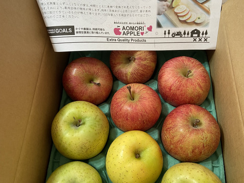 【夜市限定】【福袋】青森県産 約３キロ 季節の樹上完熟りんご詰め合わせセット【家庭用厳選品】