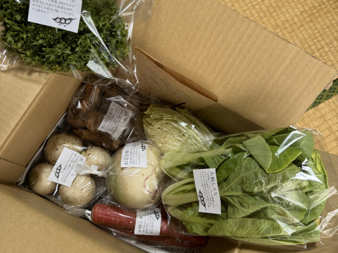 野菜セットＳサイズ（７品）【農薬・化学肥料・動物性堆肥｜不使用】