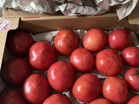 「王様トマト」の試験販売にご協力お願いします。3.6ｋｇ/箱・品種名：「ごほうび」