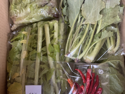 未来へつなぐ 固定種・在来種 自然栽培野菜セット80サイズ　農薬不使用　動物性有機肥料不使用