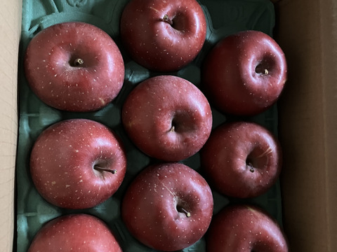 りんごグランプリ2025最高金賞1位🎊サンふじ 3キロ箱 家庭用  6玉〜15玉サイズ 小傷あり  ID80274 長野県 信州 安曇野 リンゴ 幻 幻のリンゴ 予約 希少 旬 甘い