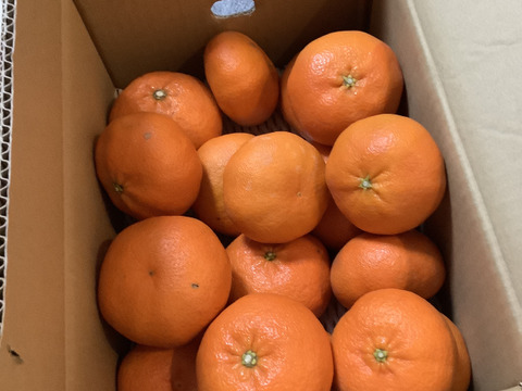 ⭐️歯切れのよさと、上品な甘さ⭐️　甘平　家庭用5キロ